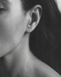 Four Diamonds Leaves Earrings